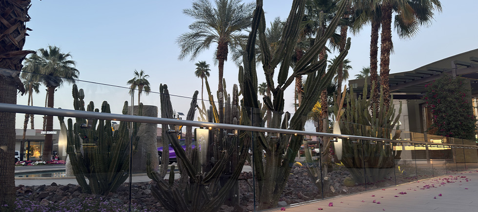 The Gardens on El Paseo