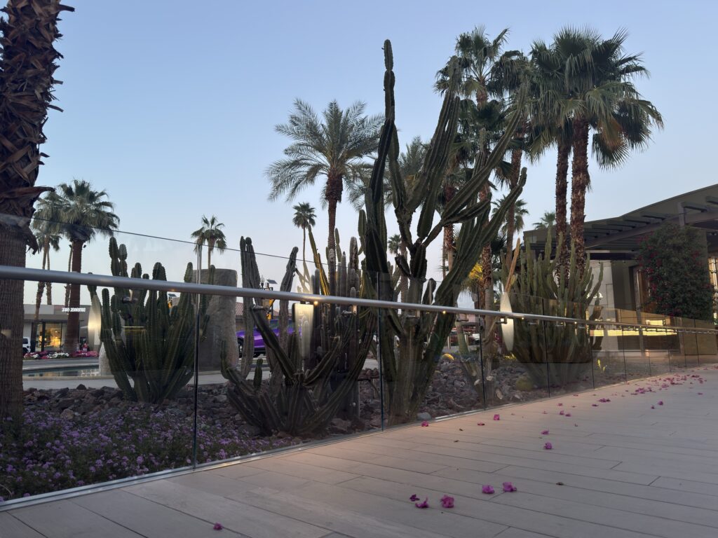 The Gardens on El Paseo