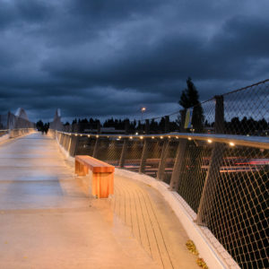 John Lewis Memorial Bridge 4